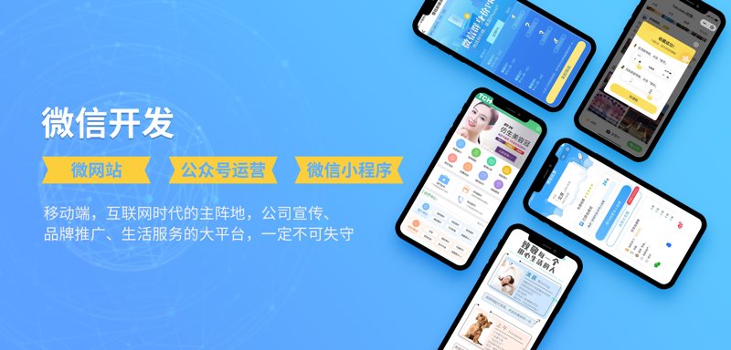 软件定制开发：打造专属解决方案